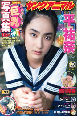 世界硬鸡大赛视频